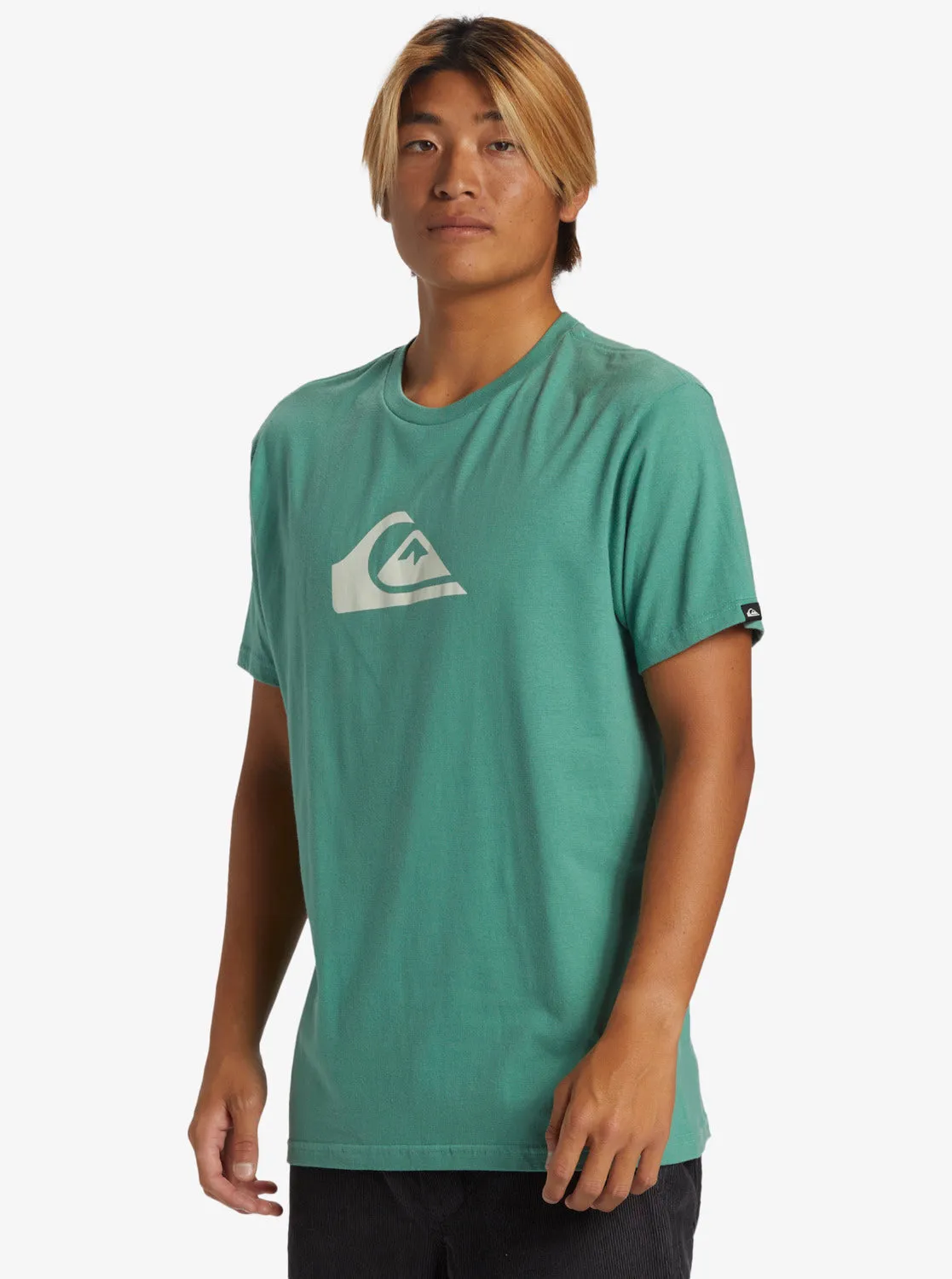 Comp Logo T-Shirt - Frosty Spruce