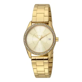 Esprit Stainless Steel Analog Women's Watch ES1L195M0095