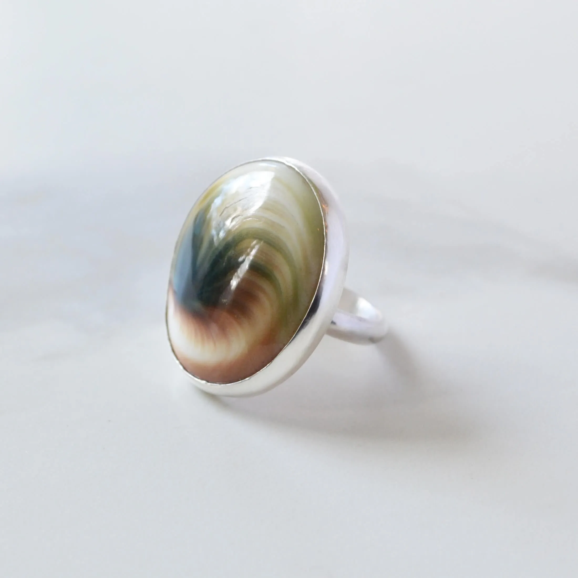 Natural Shiva Shell Sterling Silver Ring, One of a Kind