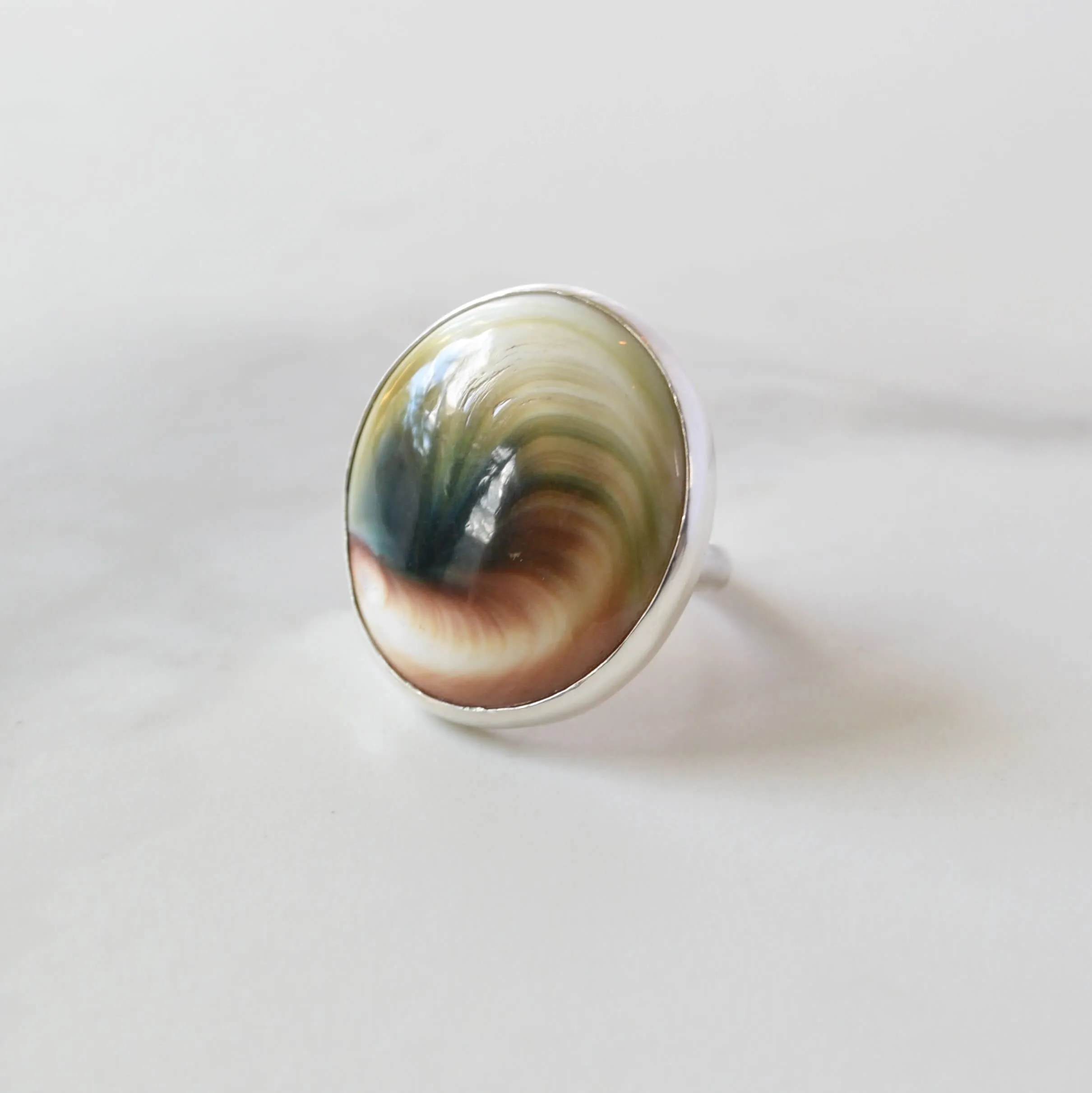 Natural Shiva Shell Sterling Silver Ring, One of a Kind