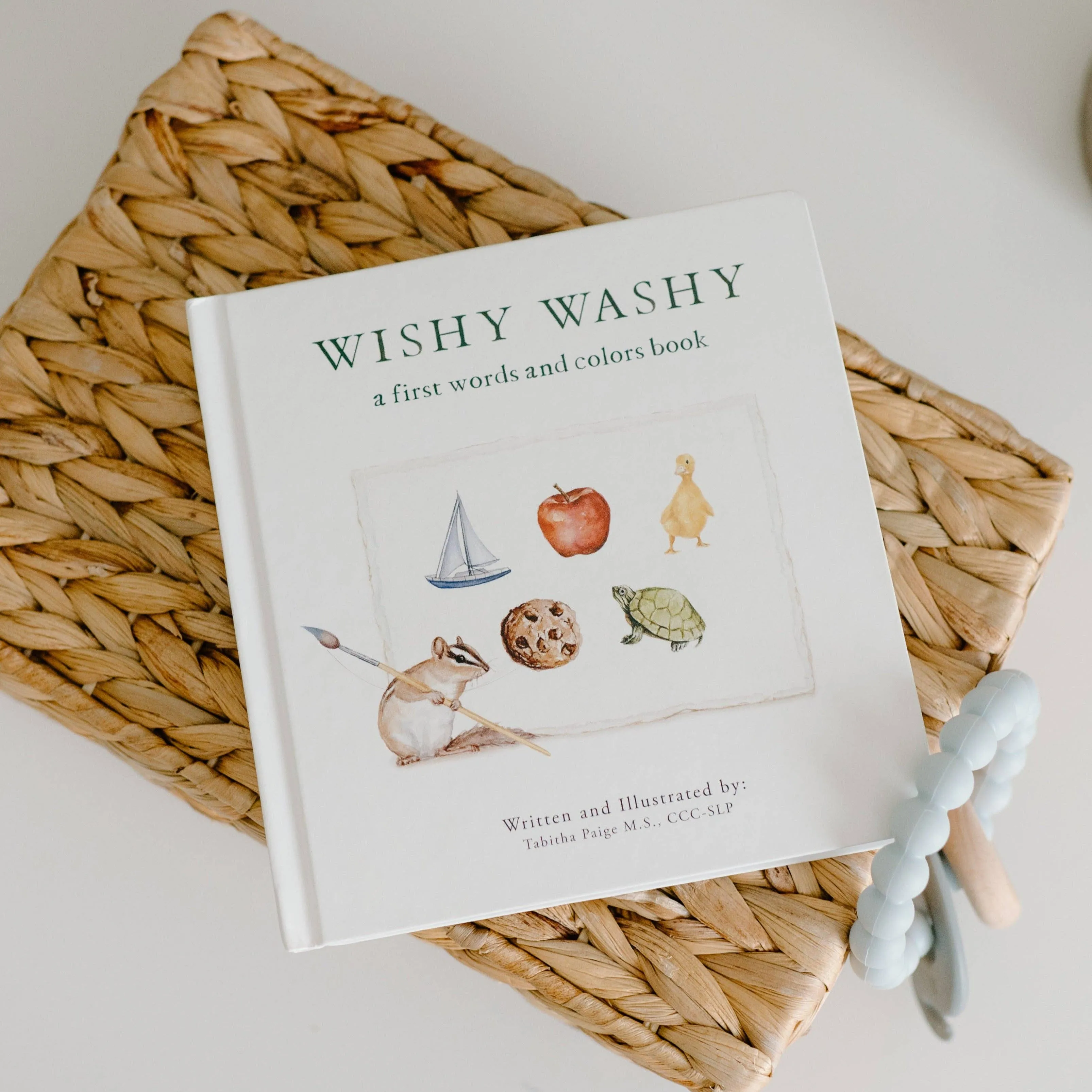 Wishy Washy: A Book of First Words and Colors